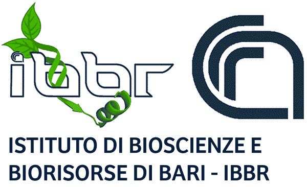 IBBR Logo