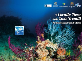In fondo al mar: il Corallo Nero delle Isole Tremiti