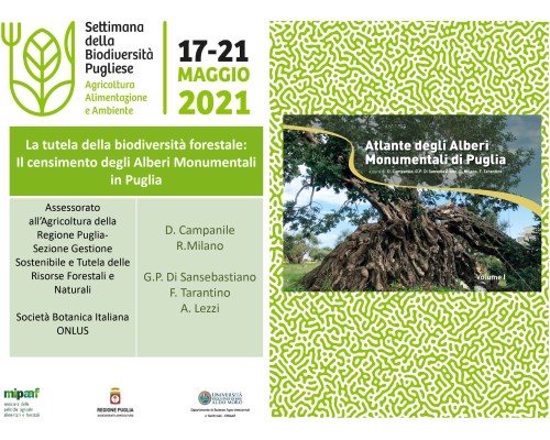 La tutela della biodiversità forestale: Il censimento degli Alberi Monumentali in Puglia