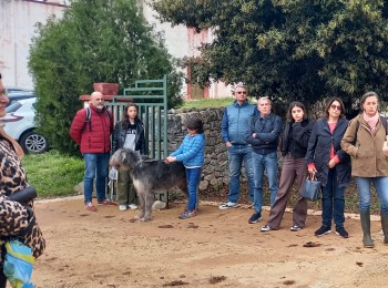 La Masseria Russoli: attività di conservazione e valorizzazione dell'asino di Martina Franca
