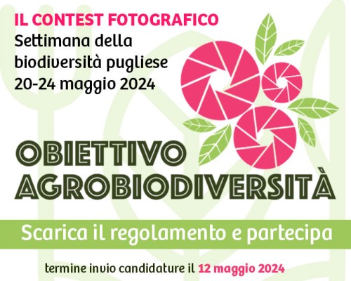 Tra cibo ed fotografia: la nuova edizione del concorso “Obiettivo Agrobiodiversità”